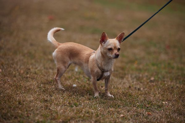 Discover mystery box machines: top insights and expectations